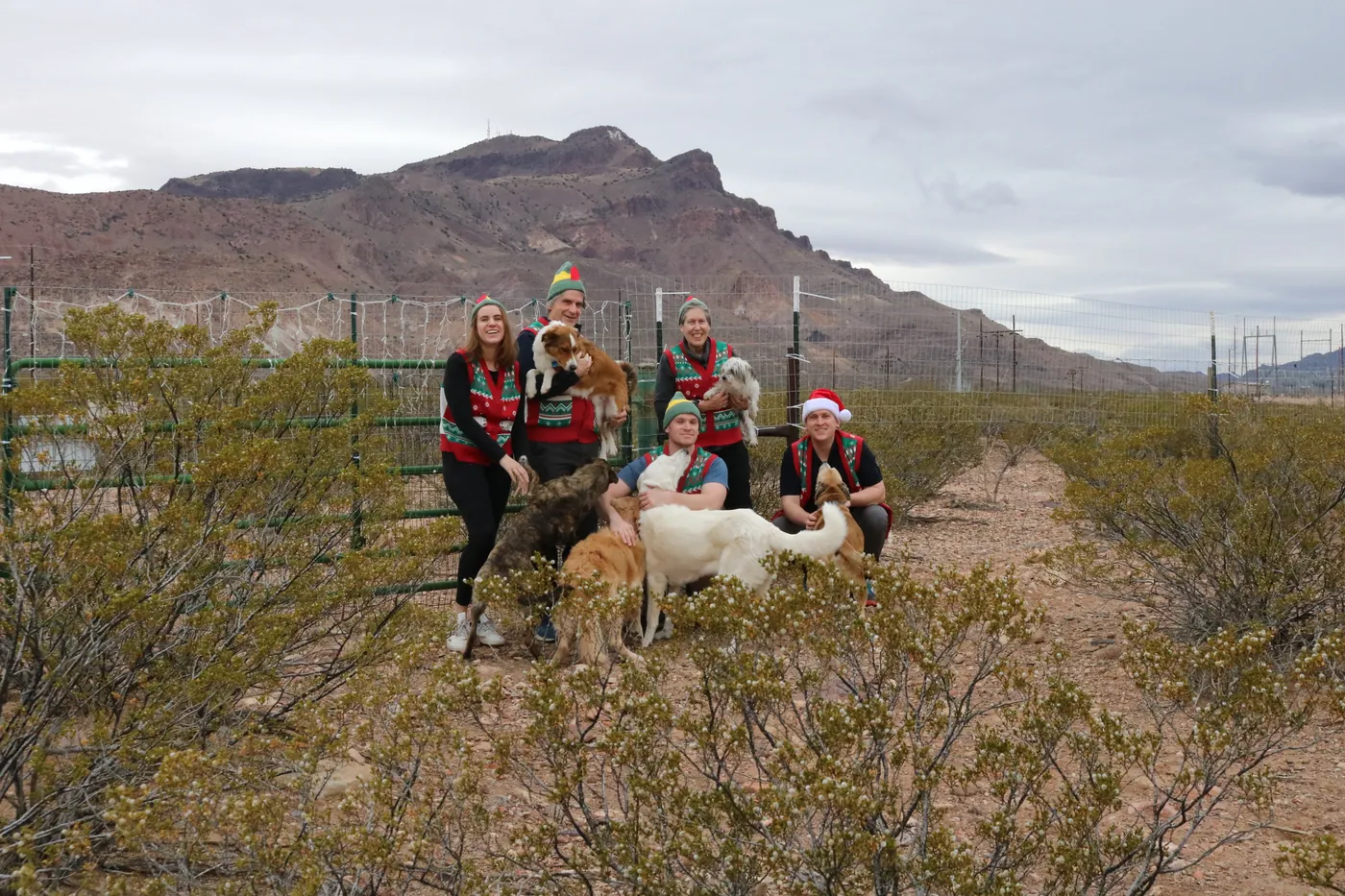 Christmas in the desert, Santa hats and all
